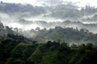 नेतरहाट
