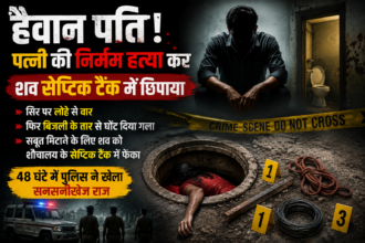 सेप्टिक