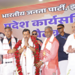 राहुल गांधी टूलकिट