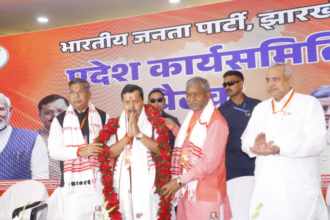 राहुल गांधी टूलकिट